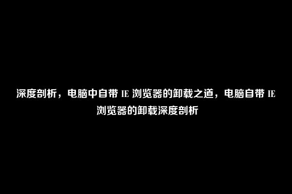 深度剖析，电脑中自带 IE 浏览器的卸载之道，电脑自带 IE 浏览器的卸载深度剖析