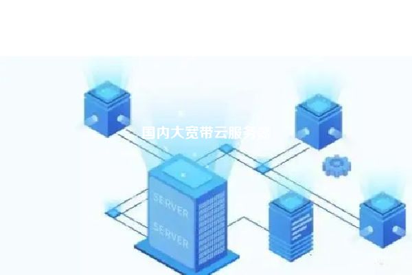 国内大宽带云服务器