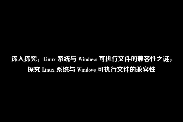 深入探究，Linux 系统与 Windows 可执行文件的兼容性之谜，探究 Linux 系统与 Windows 可执行文件的兼容性