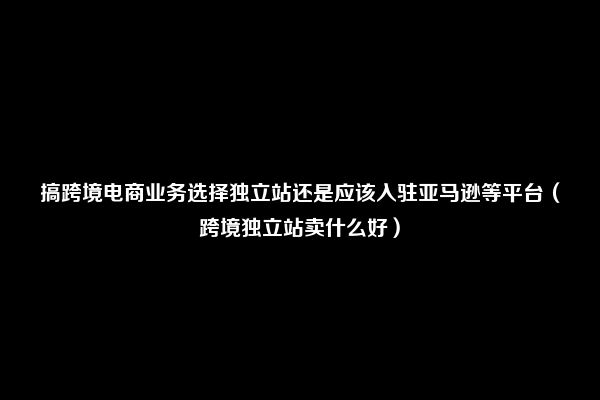 搞跨境电商业务选择独立站还是应该入驻亚马逊等平台（跨境独立站卖什么好）