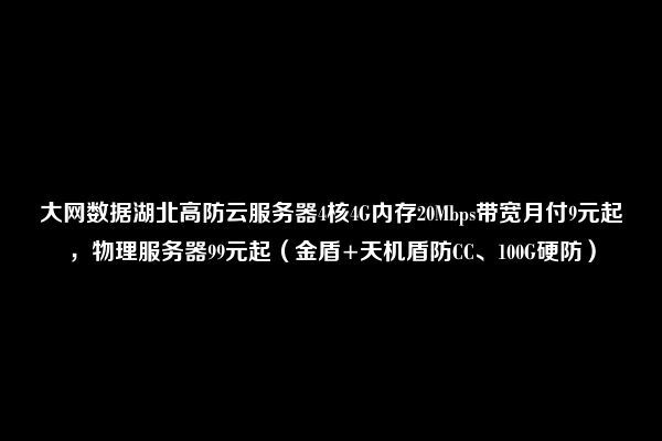 大网数据湖北高防云服务器4核4G内存20Mbps带宽月付9元起，物理服务器99元起（金盾+天机盾防CC、100G硬防）