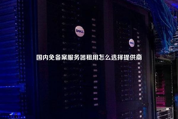 国内免备案服务器租用怎么选择提供商