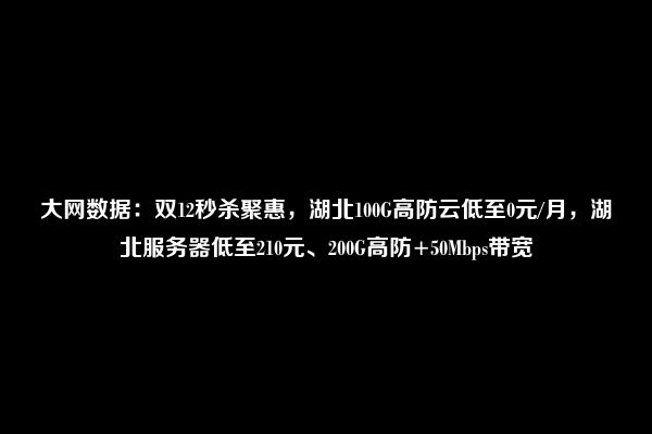 大网数据：双12秒杀聚惠，湖北100G高防云低至0元/月，湖北服务器低至210元、200G高防+50Mbps带宽