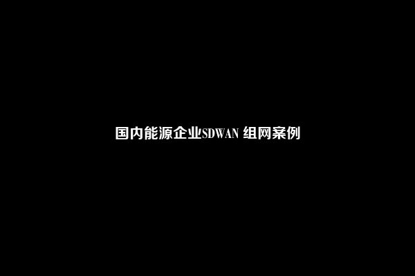 国内能源企业SDWAN 组网案例