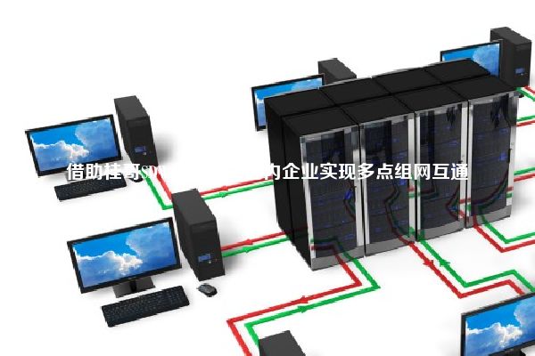 借助桂哥SDWAN技术，国内企业实现多点组网互通