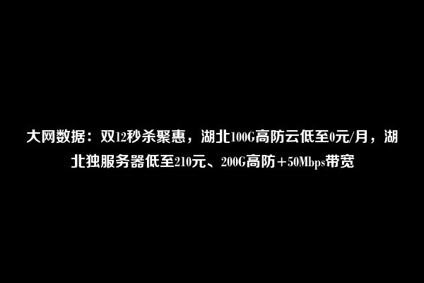 大网数据：双12秒杀聚惠，湖北100G高防云低至0元/月，湖北独服务器低至210元、200G高防+50Mbps带宽