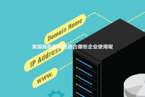 美国高防服务器适合哪些企业使用呢