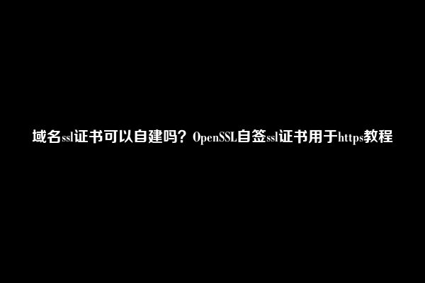 域名ssl证书可以自建吗？OpenSSL自签ssl证书用于https教程