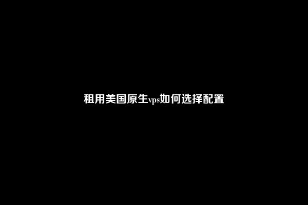 租用美国原生vps如何选择配置