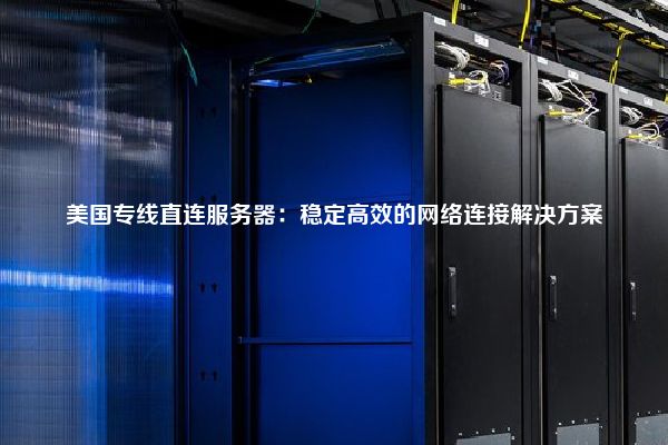 美国专线直连服务器：稳定高效的网络连接解决方案