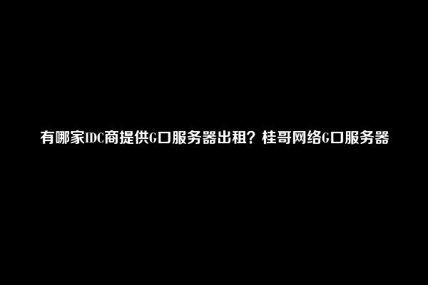 有哪家IDC商提供G口服务器出租？桂哥网络G口服务器