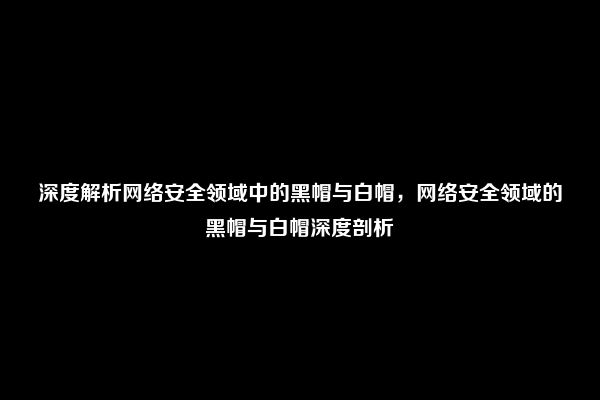 深度解析网络安全领域中的黑帽与白帽，网络安全领域的黑帽与白帽深度剖析