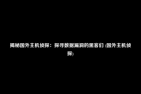 揭秘国外主机侦探：探寻数据漏洞的黑客们 (国外主机侦探)