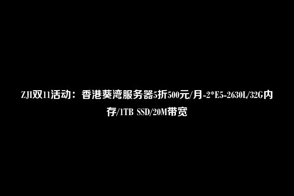 ZJI双11活动：香港葵湾服务器5折500元/月-2*E5-2630L/32G内存/1TB SSD/20M带宽