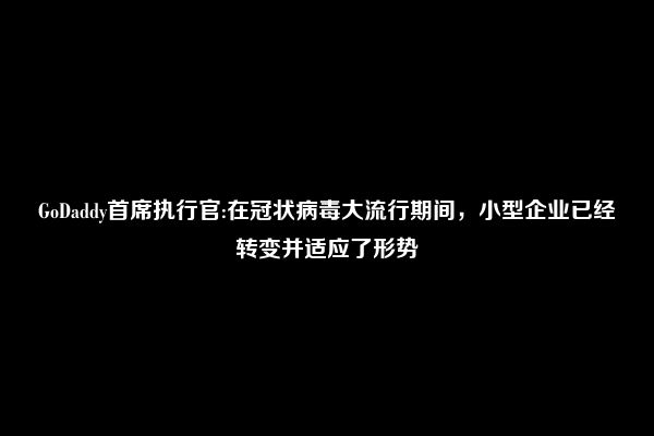 GoDaddy首席执行官:在冠状病毒大流行期间，小型企业已经转变并适应了形势