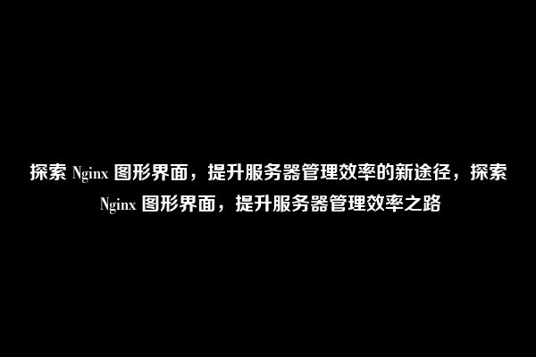 探索 Nginx 图形界面，提升服务器管理效率的新途径，探索 Nginx 图形界面，提升服务器管理效率之路