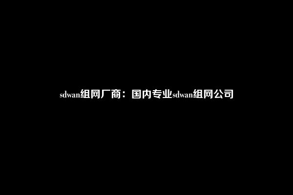 sdwan组网厂商：国内专业sdwan组网公司