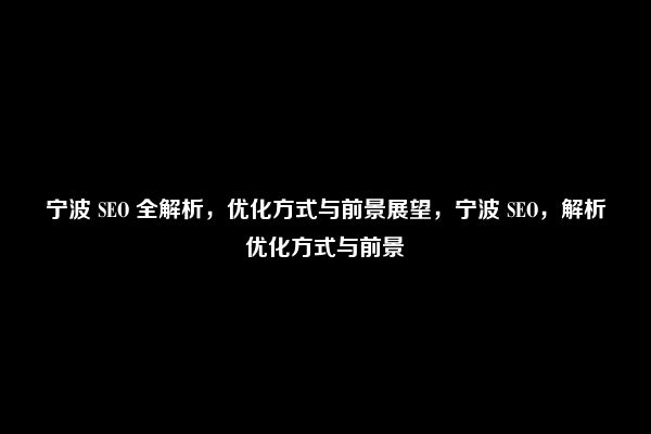 宁波 SEO 全解析，优化方式与前景展望，宁波 SEO，解析优化方式与前景