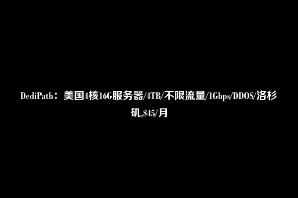 DediPath：美国4核16G服务器/4TB/不限流量/1Gbps/DDOS/洛杉矶,$45/月