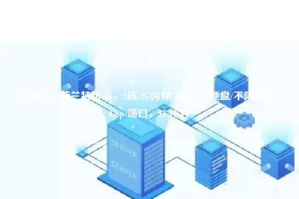 HostSlick：荷兰特价vps，2核/2G内存/30GB SSD硬盘/不限流量/1Gbps端口，$5.47/月