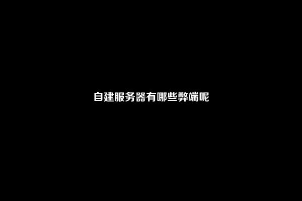 自建服务器有哪些弊端呢