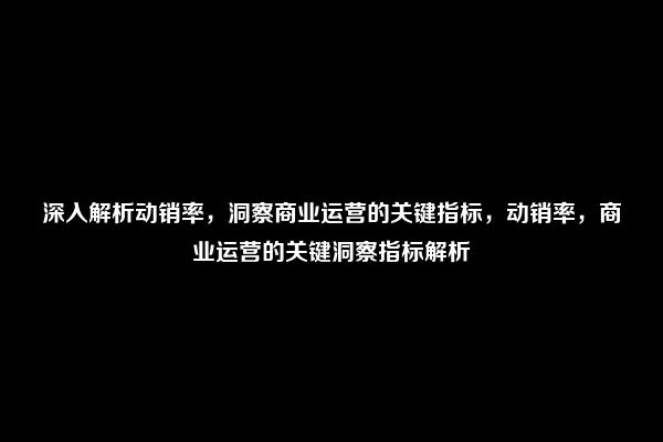 深入解析动销率，洞察商业运营的关键指标，动销率，商业运营的关键洞察指标解析