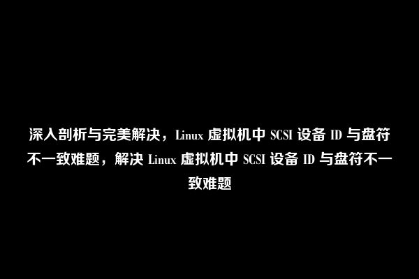 深入剖析与完美解决，Linux 虚拟机中 SCSI 设备 ID 与盘符不一致难题，解决 Linux 虚拟机中 SCSI 设备 ID 与盘符不一致难题