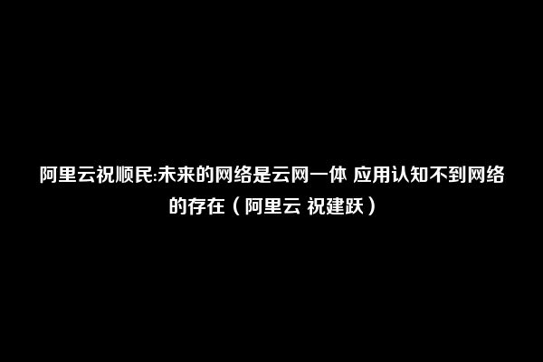 阿里云祝顺民:未来的网络是云网一体 应用认知不到网络的存在（阿里云 祝建跃）