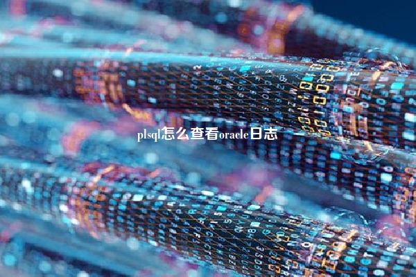 plsql怎么查看oracle日志