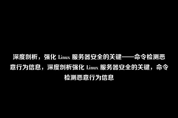 深度剖析，强化 Linux 服务器安全的关键——命令检测恶意行为信息，深度剖析强化 Linux 服务器安全的关键，命令检测恶意行为信息