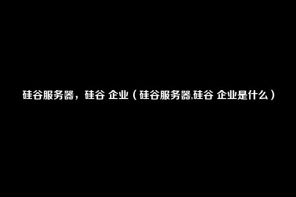 硅谷服务器，硅谷 企业（硅谷服务器,硅谷 企业是什么）
