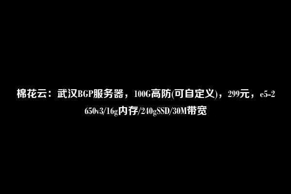 棉花云：武汉BGP服务器，100G高防(可自定义)，299元，e5-2650v3/16g内存/240gSSD/30M带宽