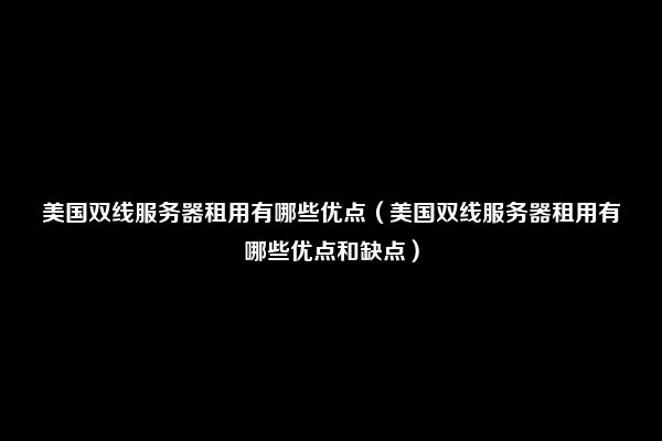 美国双线服务器租用有哪些优点（美国双线服务器租用有哪些优点和缺点）