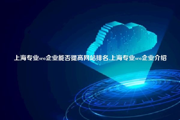 上海专业seo企业能否提高网站排名,上海专业seo企业介绍