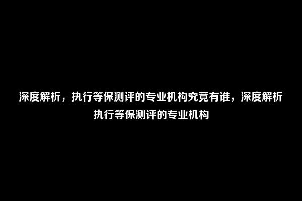 深度解析，执行等保测评的专业机构究竟有谁，深度解析执行等保测评的专业机构