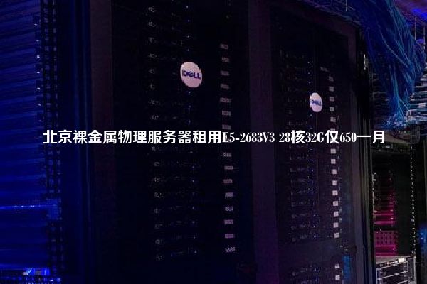 北京裸金属物理服务器租用E5-2683V3 28核32G仅650一月