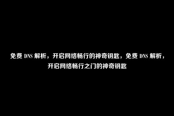 免费 DNS 解析，开启网络畅行的神奇钥匙，免费 DNS 解析，开启网络畅行之门的神奇钥匙