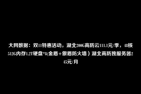 大网数据：双11特惠活动，湖北200G高防云111.1元/季，48核512G内存1.2T硬盘*8(金盾+傲盾防火墙）湖北高防独服务器245元/月