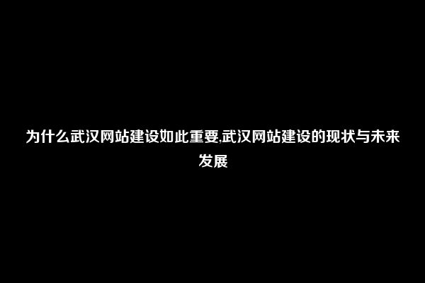 为什么武汉网站建设如此重要,武汉网站建设的现状与未来发展