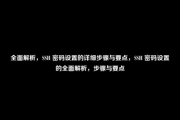 全面解析，SSH 密码设置的详细步骤与要点，SSH 密码设置的全面解析，步骤与要点