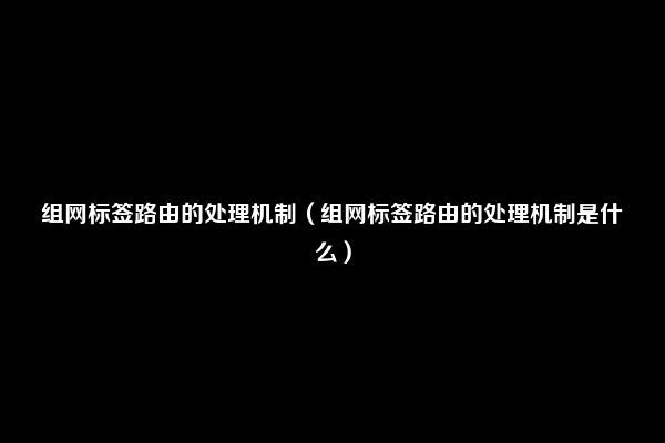 组网标签路由的处理机制（组网标签路由的处理机制是什么）