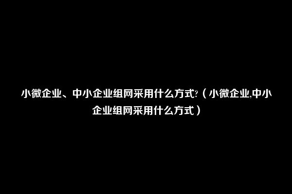 小微企业、中小企业组网采用什么方式?（小微企业,中小企业组网采用什么方式）