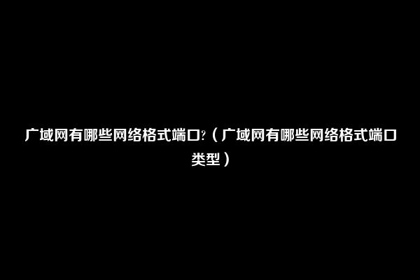 广域网有哪些网络格式端口?（广域网有哪些网络格式端口类型）